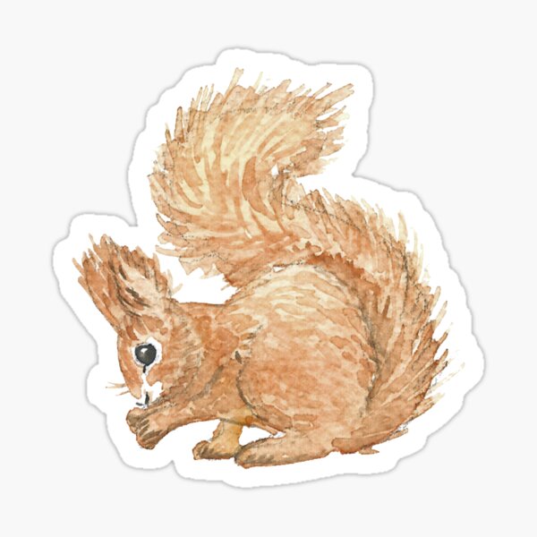 Red Squirrel Sticker