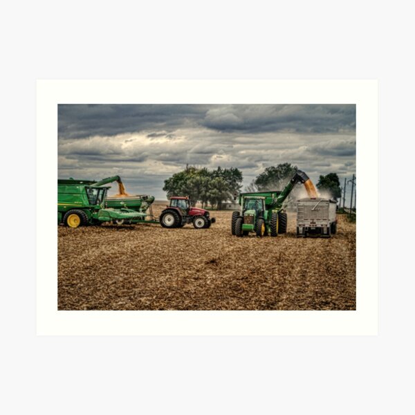 The Harvest Art Print