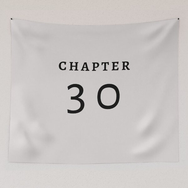 Item preview, CHAPTER 30 birthday gift for 30 years old | 30s Stickers designed and sold by sultanahst.