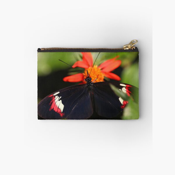 Item preview, Longwing butterfly designed and sold by GreyFeatherPhot.