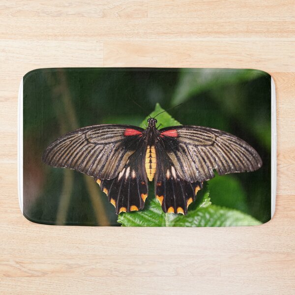 Item preview, Low's swallowtail designed and sold by GreyFeatherPhot.
