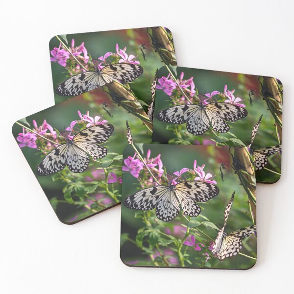 Item preview, Tree nymph butterflies designed and sold by GreyFeatherPhot.