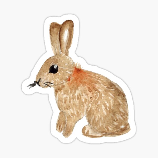 Rabbit Sticker