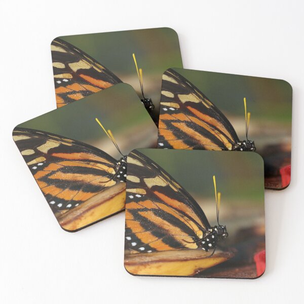 Item preview, Tiger longwing butterfly designed and sold by GreyFeatherPhot.