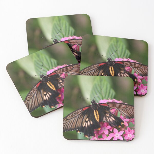 Item preview, Butterfly with damaged wings designed and sold by GreyFeatherPhot.