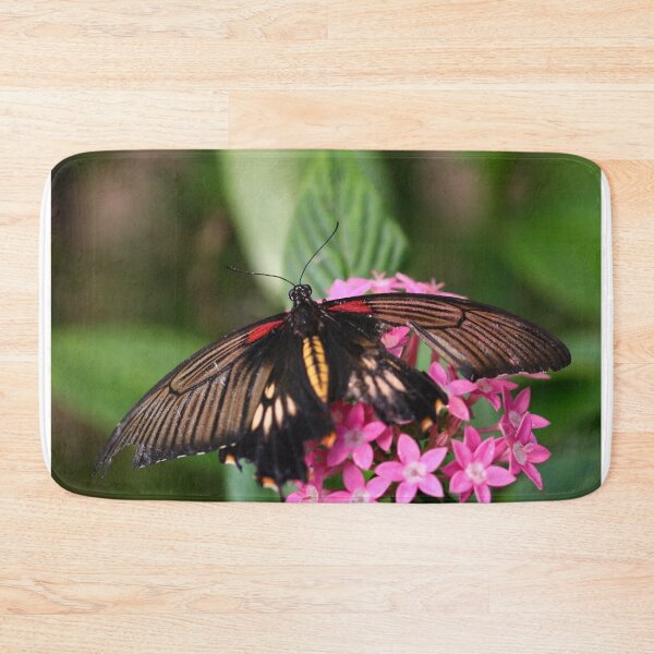 Item preview, Butterfly with damaged wings designed and sold by GreyFeatherPhot.