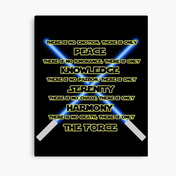 Light Side Philosophy Canvas Print