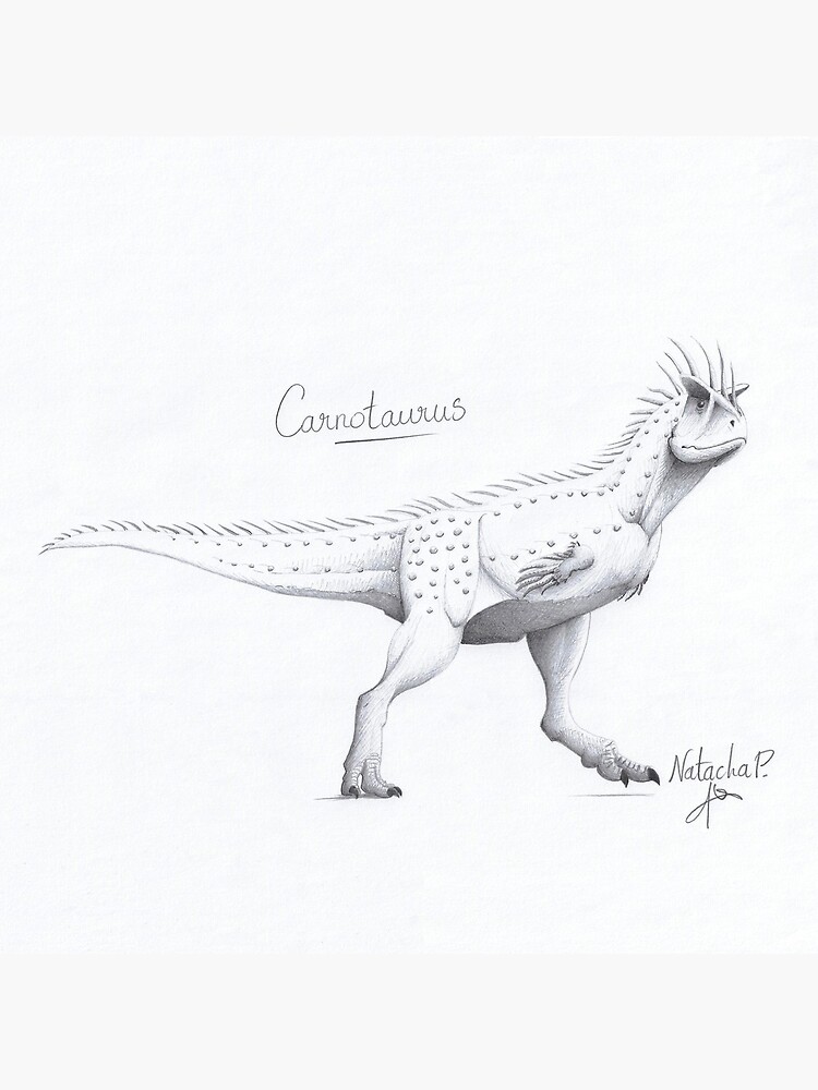 Featured image of post Dibujos De Spinosaurus A Lapiz