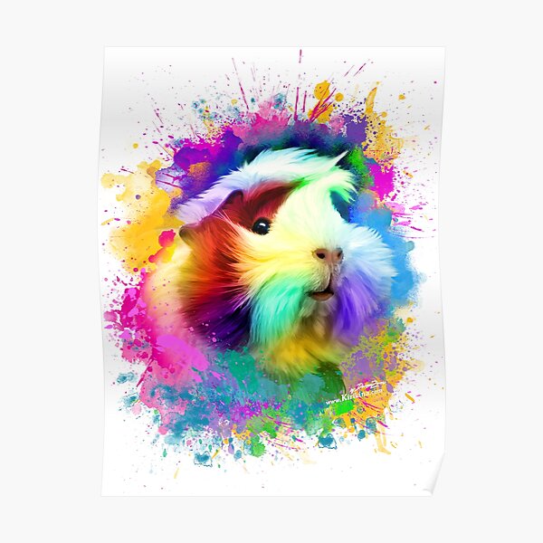 colorful guinea pig Poster