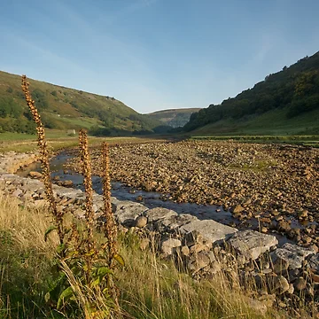 Artwork thumbnail, Swaledale by StephenJSmith