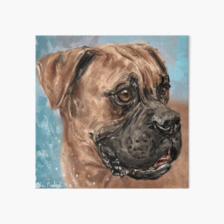 Painting Of A Brown Coated Boxer Dog Looking Serious On Light Turquoise Background Art Board Print By Ibadishi Redbubble