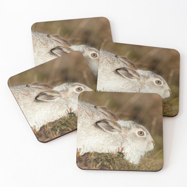 Item preview, Mountain hare in the winter sunshine designed and sold by toms206.