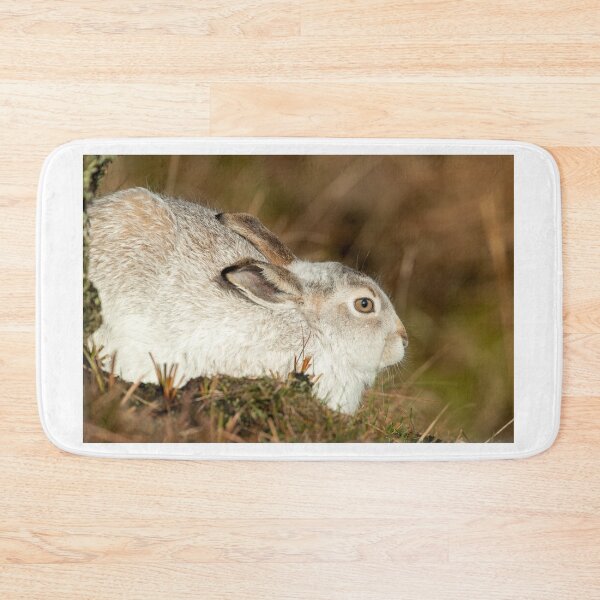 Item preview, Mountain hare in the winter sunshine designed and sold by toms206.
