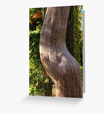 Pregnant Tree Greeting Card