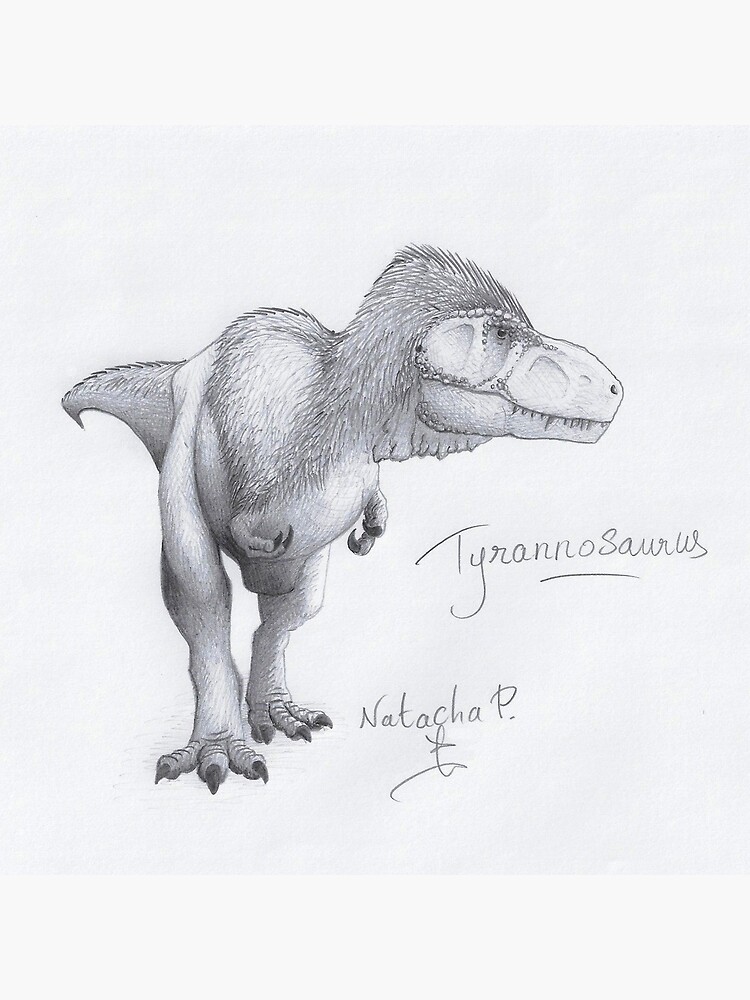 Postal «Ilustración Dibujo Tyrannosaurus sp. Dibujo A Lápiz Dinosaurio  Mesozoico» de DiablHorse | Redbubble
