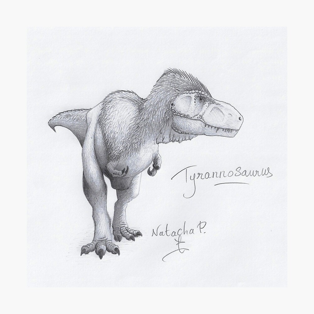 Dinosaur. Dinosaur Drawing Pencil Sketch Stock Illustration - Illustration  of science, antiquity: 61617170