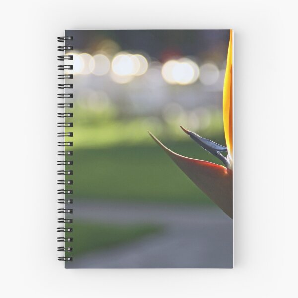 Item preview, Frie Byrd designed and sold by Chet  King.