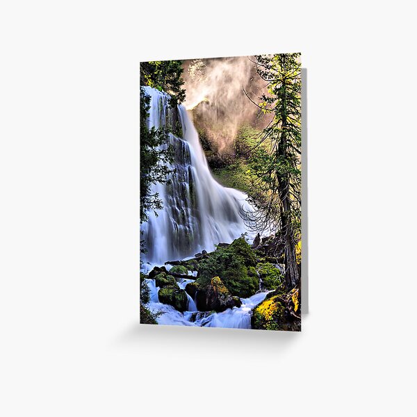 Item preview, The Upper Falls of Falls Creek Falls designed and sold by dgsoregon.