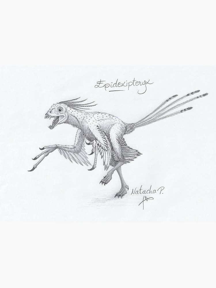 Dracorex Dinosaur Pencil Drawing Style Stock Illustration - Illustration of  drawing, action: 78075041