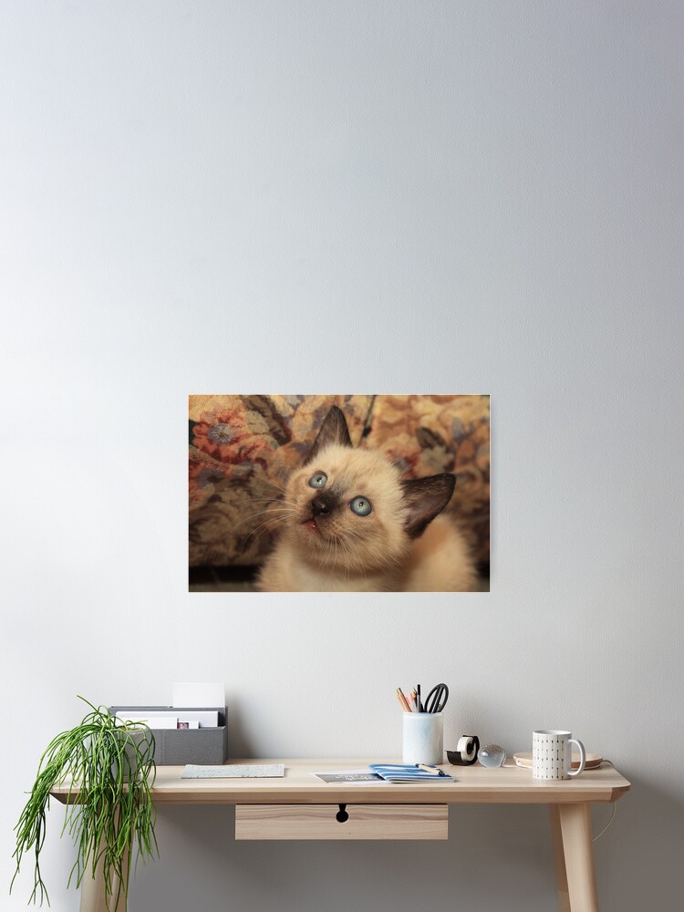 Thumbnail 2 of 3, Poster, Adopt Me? designed and sold by idnurse41.