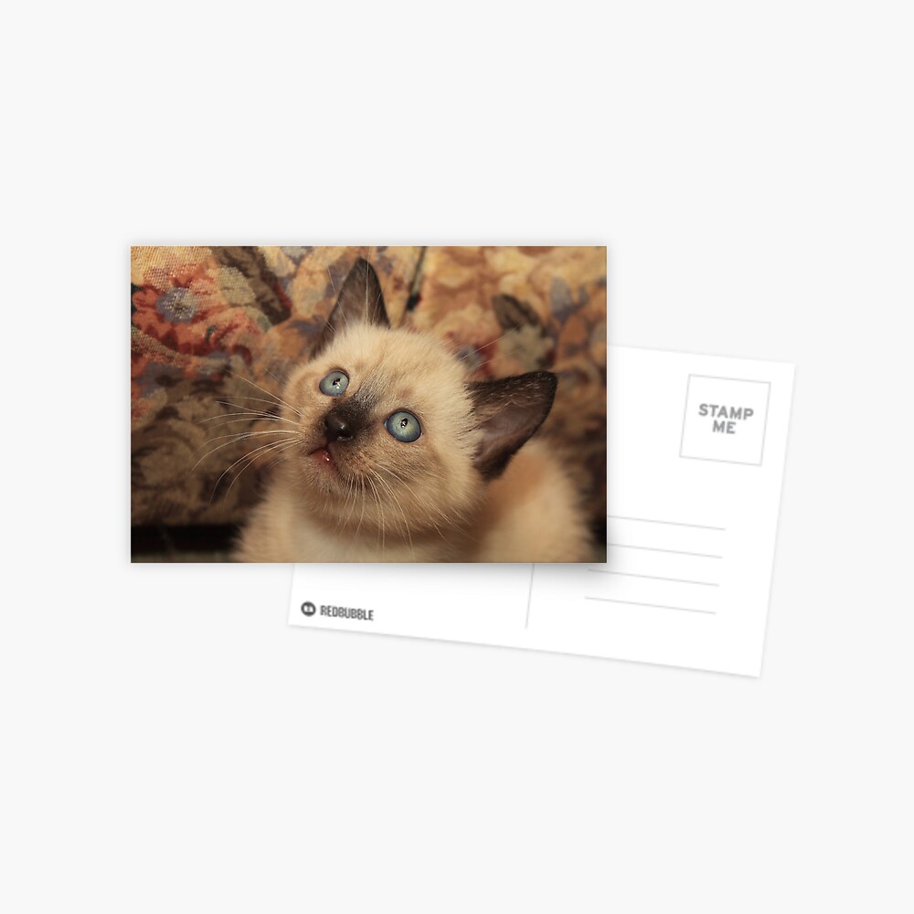 Item preview, Postcard designed and sold by idnurse41.