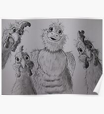Chook, chook....duck! Poster
