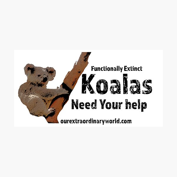 Save the Koalas and Help Australian Wildlife Photographic Print