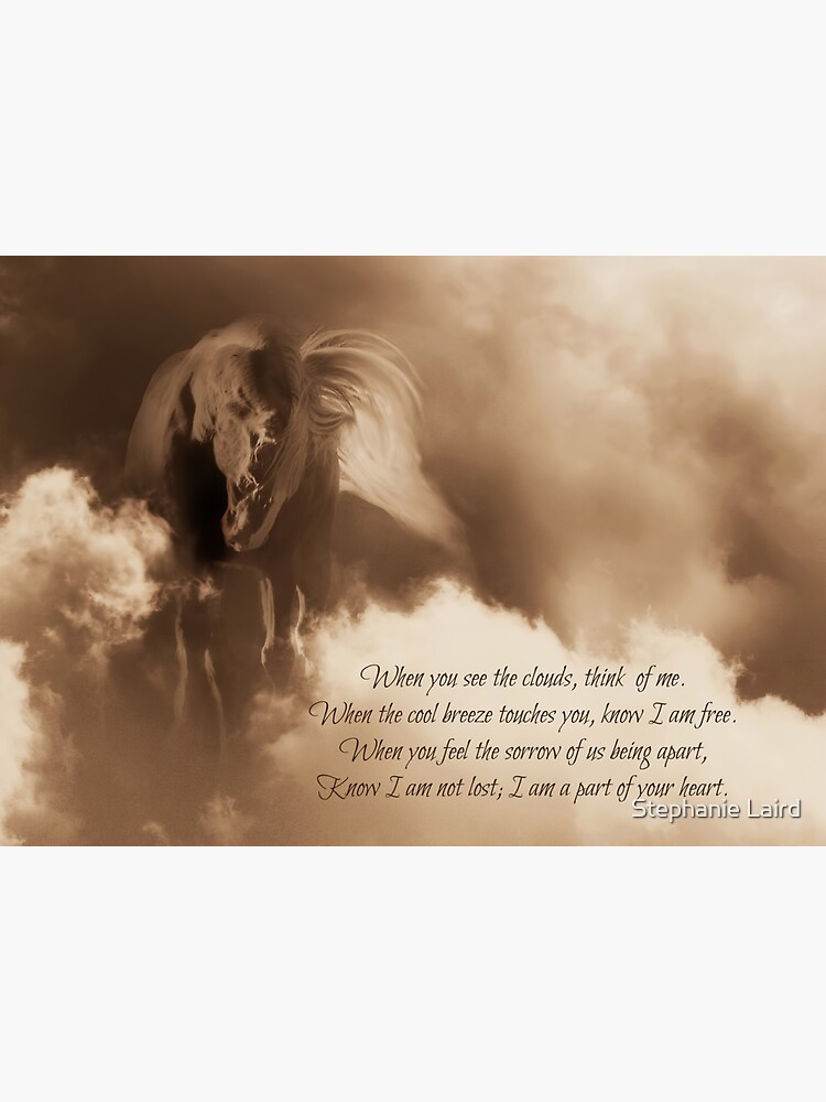 "Spiritual Horse Sympathy Poem, Metaphysical Transition" Sticker for