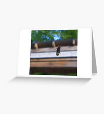 The Lightning Bug Greeting Card