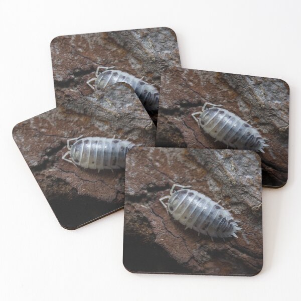 Item preview, Porcellio laevis 'Dairy Cow' designed and sold by Helena1.