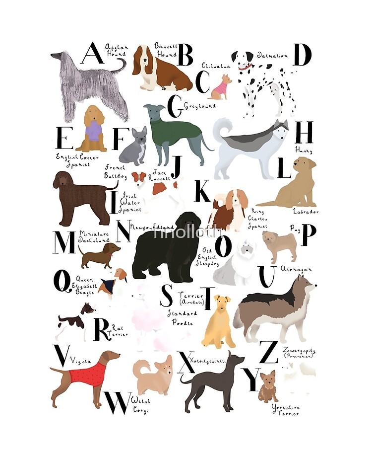 Dog Alphabet Multiple Breeds Educational Animals Chart By Graphic Art ...