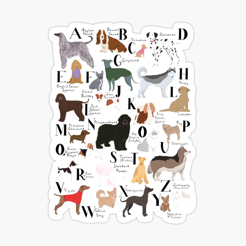 dog-alphabet-dog-breeds-a-z-of-dogs-greeting-card