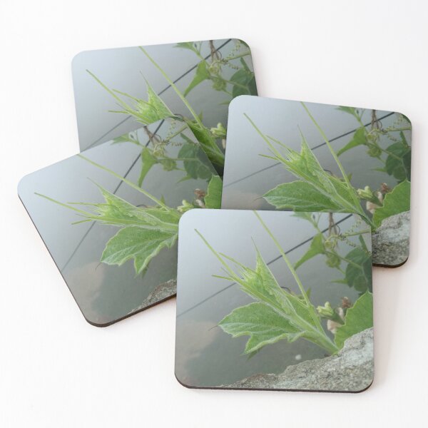 Item preview, Brote de Gaurd para Redbubble designed and sold by UMKESH CHAUDHARY.