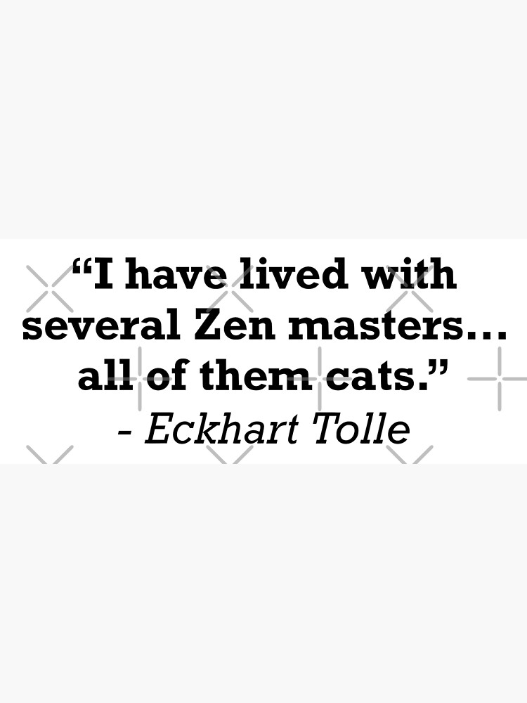 "Eckhart Tolle Zen Cats Quote" Poster by JackCurtis1991 Redbubble