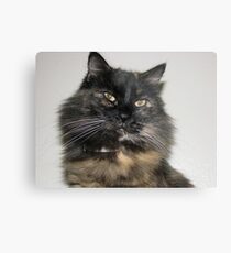 Arwen Metal Print
