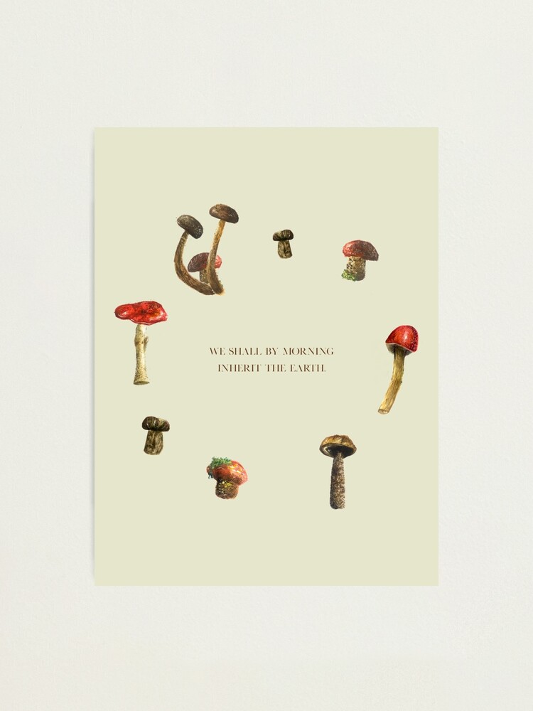 "Mushrooms Sylvia Plath" Photographic Print by urfriendthemoon