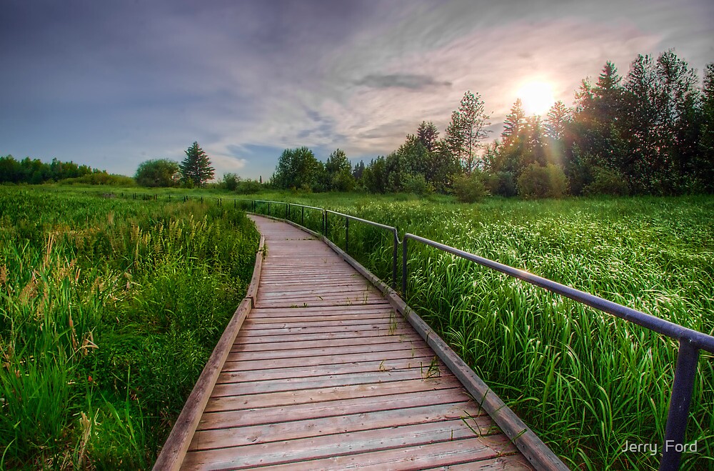 "Boardwalk Through Wetlands" by Jerry Ford | Redbubble