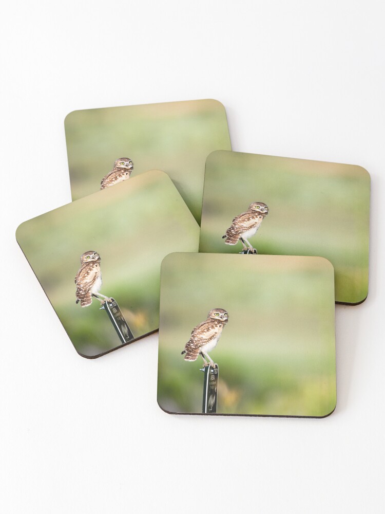 Thumbnail 1 of 5, Coasters (Set of 4), My Sign designed and sold by gdb2.