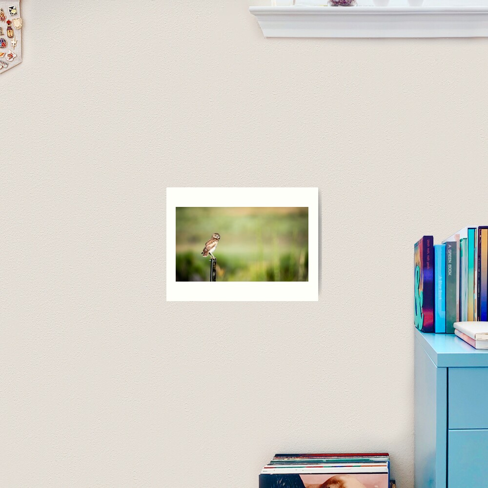 Item preview, Art Print designed and sold by gdb2.