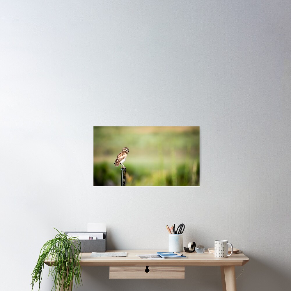 Item preview, Poster designed and sold by gdb2.