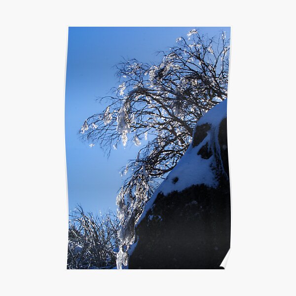 Winter Light Poster