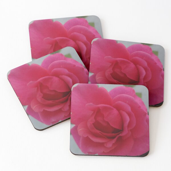 Item preview, Macro of a Miniature Pink Rose by Orikall designed and sold by HippieWorks.