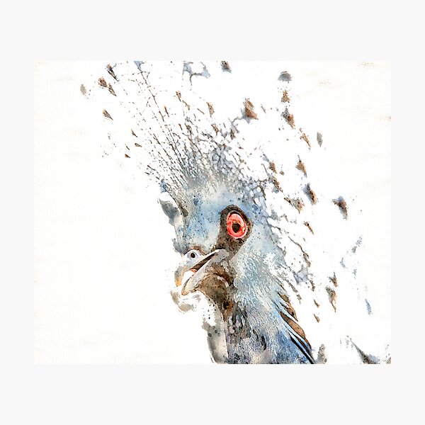 Item preview, Victoria Crowned Pigeon designed and sold by Darren Wilkes.