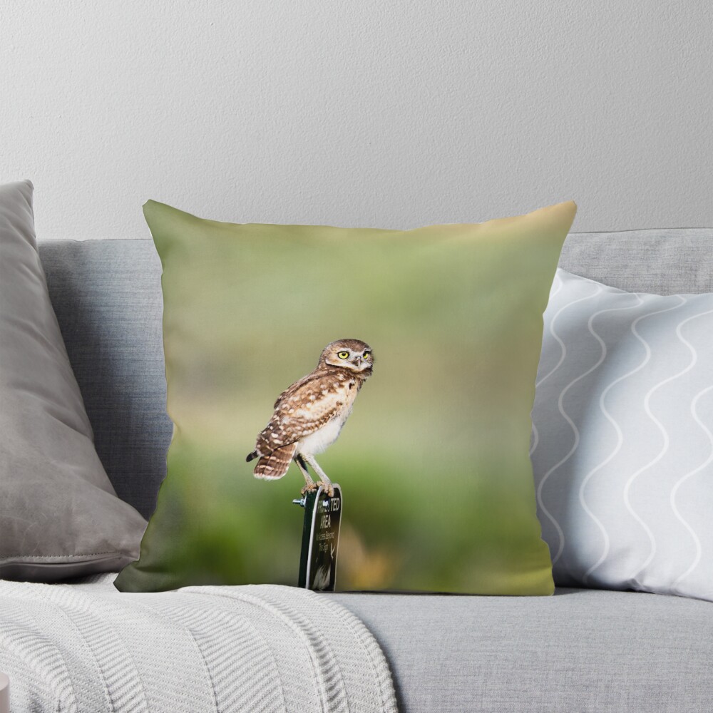 Item preview, Throw Pillow designed and sold by gdb2.