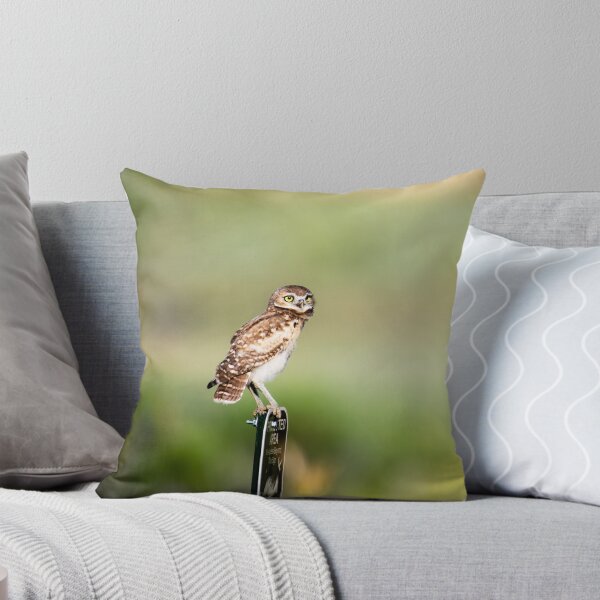 Item preview, My Sign designed and sold by Greg Birkett.