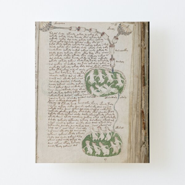 Voynich Manuscript. Illustrated codex hand-written in an unknown writing system Canvas Mounted Print