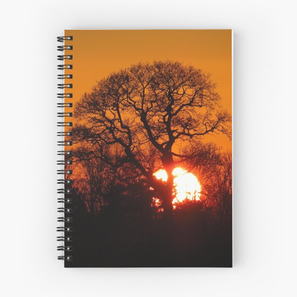 Item preview, Brightwell Sunset, Suffolk designed and sold by wiggyofipswich.