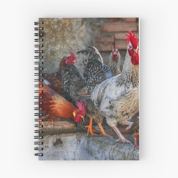Item preview, Poultry designed and sold by Dawn van Doorn.