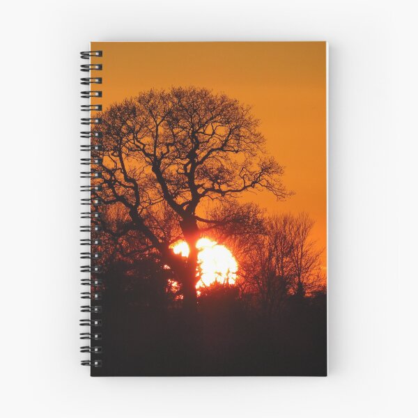 Artikelvorschau, Die Eiche & Sonnenuntergang entworfen und verkauft von wiggyofipswich.