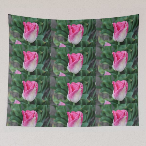 Artikelvorschau, rosa Tulpe entworfen und verkauft von JRHarshman.